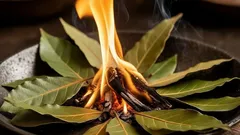 Vet du varför man bränner lagerblad hemma? Resultatet kommer att överraska dig